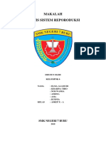 Makalah Anafis Sistem Reporoduksi