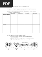 Actividades Mitosis y Meiosis