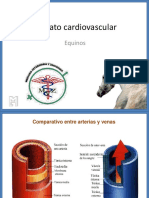 Aparato Cardiovascular