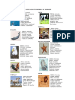 Clasificacion - Taxonomica - de Los, Animales Qy Vegetales