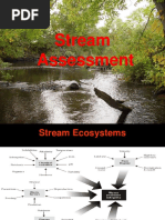 River Assessment