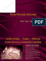 Pesta Procina Africana