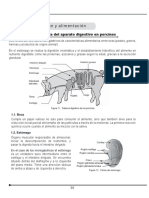 Porcinos y Aves 02 PDF