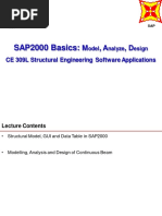 SAP Basics - Modelling, Analysis, Design (Autosaved) PDF