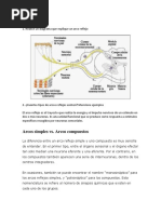 Fisiologia Laboratorio 2