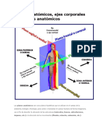 Planos Anatómicos