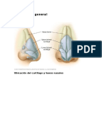 Trabajo de Rinoplastia