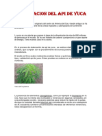 Api de Yuca Proyectos 1