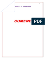 Cumene Project Reports