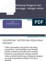 Binatang Pengerat Sebagai Vektor Fix