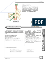 Biologia 6to-Mayo 4