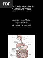 (Anatomi) Dr. Ajw - Review Anatomi Sistem Gastrointestinal