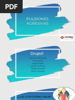 Pulsiones Agresivas