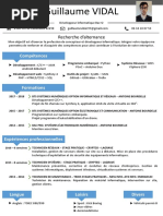 Vidal Guillaume CV