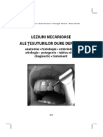 Leziuni Necarioase PP 1 12