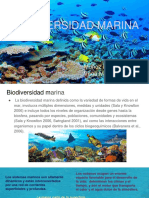 Biodiversidad Marina