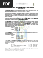 Manual de Nomenclatura PDF