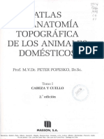 Atlas Popesko Volume 1 2 e 3 Completo - D PDF