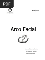 Arco Facial 2