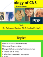 Oleh: Dr. Cahyono Kaelan, PH.D, SP - PA (K), SP.S: Neuropathology