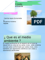 El Medio Ambiente