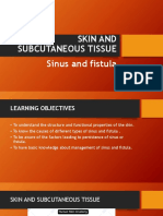 Sinus, Fistula