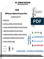 Cqi-8 Auditoria de Procesos Por Capas PDF