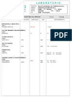 DDJJ - Programa de Adultos