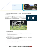 Guía Pruebas Identificación Adulterantes Leche