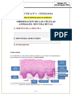 Práctica #1 Citologia