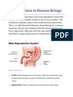 Human Reproduction - Class 10