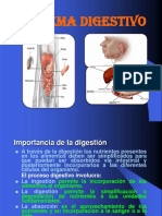 Sistema Digestivo Humano