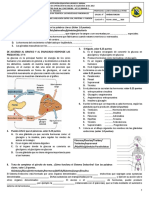 Actividad en Clase N°1. Sistema Eendocrino