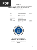 Determination of Core Sample Absolute Permeability Using Gas Permeameter and Liquid Fluid Practicum Report