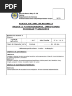 Prueba Microorganismos y Enfermedades