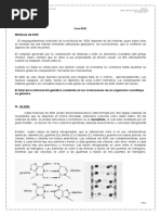 Guia Adn Segundo Medio