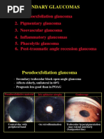 30secondary Glaucomas