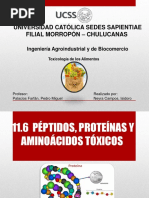 Peptidos Proteinas y Aminoacidos Toxicos