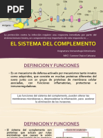 Clase 002. EL SISTEMA DEL COMPLEMENTO PDF