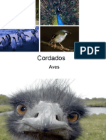 Biologia PPT - Aula 10 - Aves