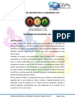 Programa de Gestion para La Seguridad Vial PDF