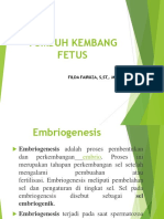 Tumbuh Kembang Fetus