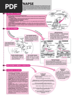 Biology - May 2017