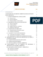 Estudio de Riesgo Bulkmatic PDF