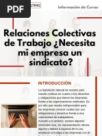 Curso Relaciones Colectivas de Trabajo ¿Necesita Mi Empresa Un Sindicato?