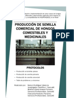 Hongos Comestibles Medicinales Producción Semilla PDF