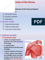 Muscles of Upper Lims-Trunk - Ruan-2015