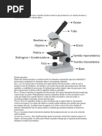 Partes Del Microscopio