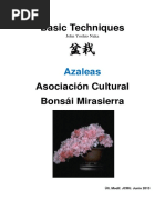 Azaleas. Técnicas Básicas