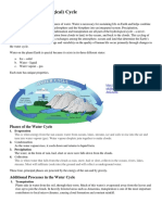 The Water Cycle Info Sheet